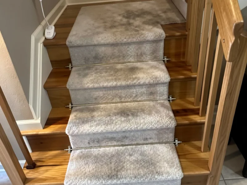 Carpeted wooden stairs with metal rods securing the carpet in place.