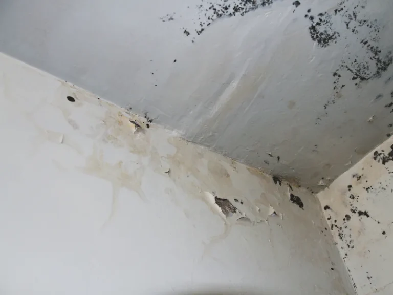 Ceiling and walls with peeling paint and black mold spots in a corner.