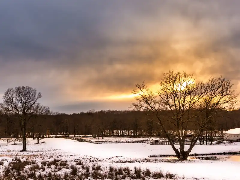 Snow-covered field with leafless trees and a glowing sunset behind clouds.